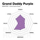 Grand Daddy Purple - BLOOM HOPPER BREWTERPS