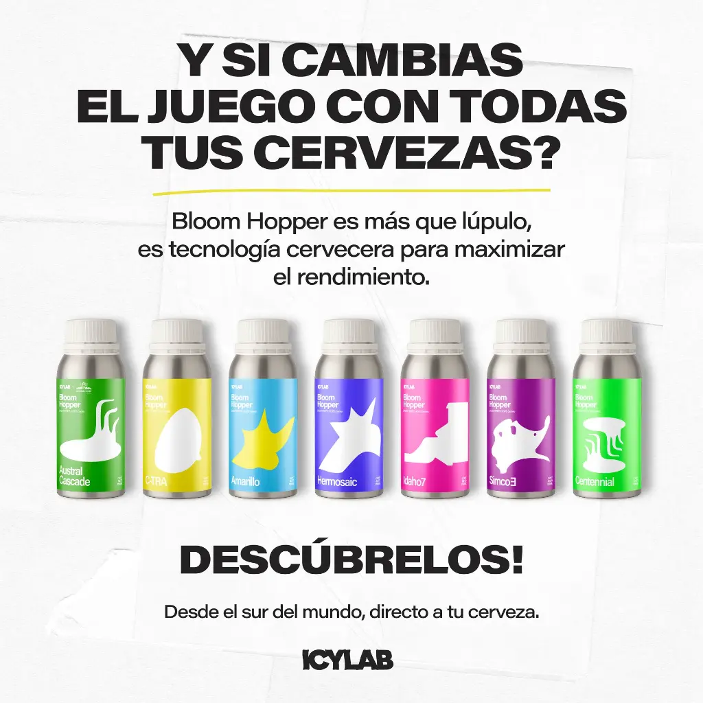 4Mesa de trabajo 3 copiamktplc.webp