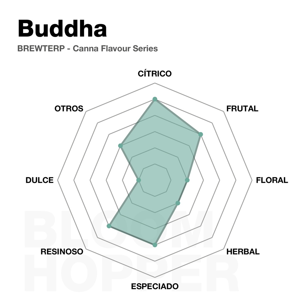 Buddha - BLOOM HOPPER BREWTERPS