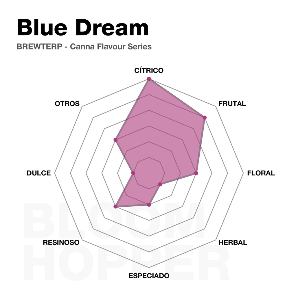 Buddha - BLOOM HOPPER BREWTERPS