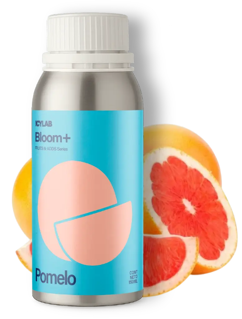 Pomelo - Bloom+