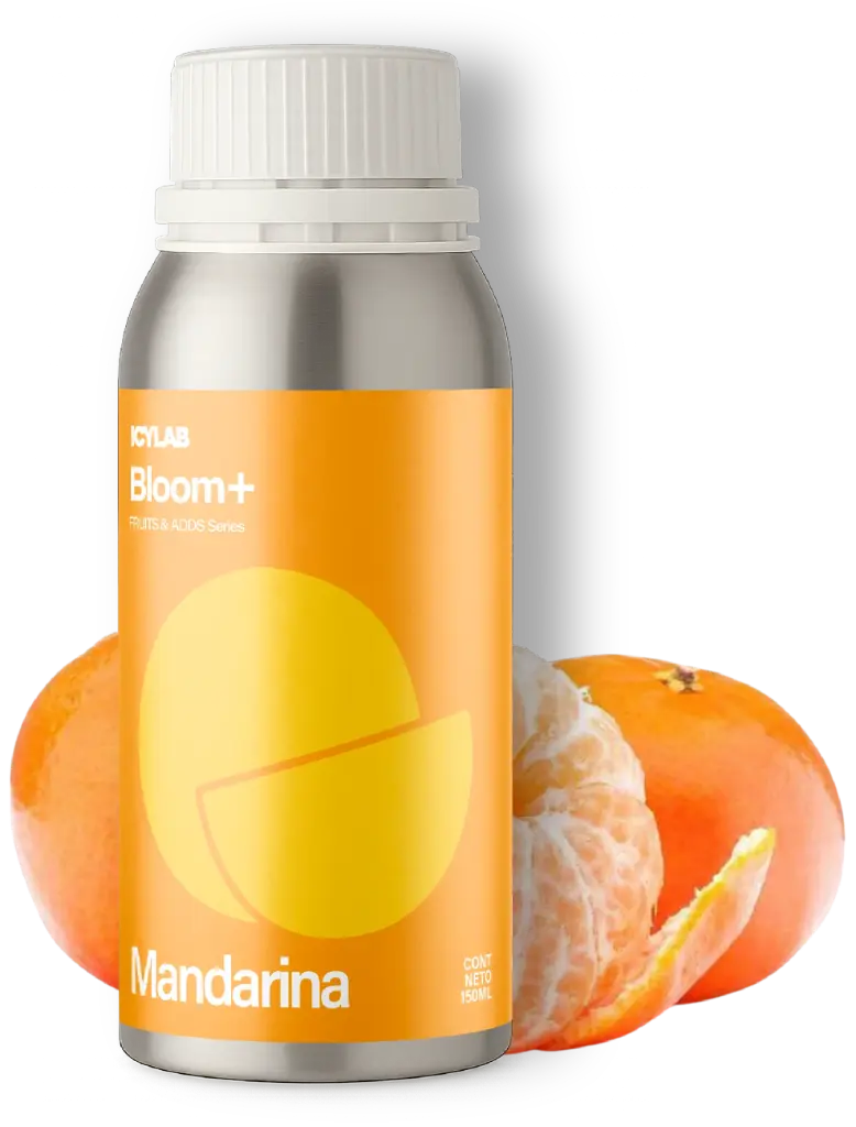 Mandarina - Bloom+