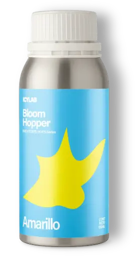 Amarillo - Bloom Hopper