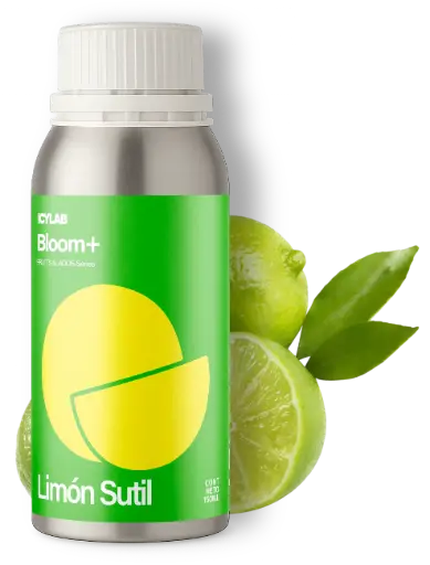 Limón Sutil - Bloom+