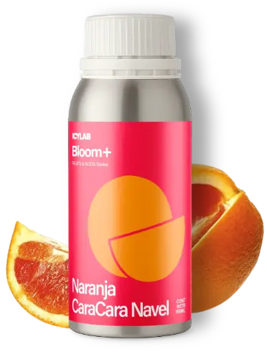 Naranja Cara Cara Navel - Bloom+
