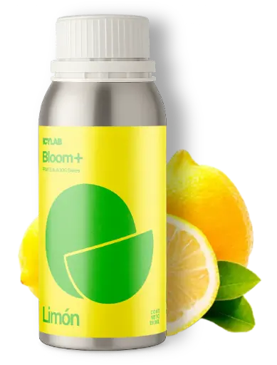Limón - Bloom+